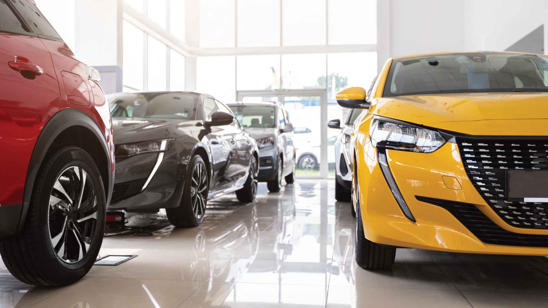 Photo d'un show room de voiture