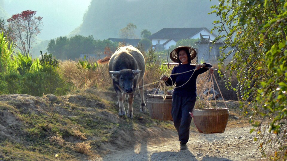 Guandu (Yunnan) – L’argent perdu de la jeune Xu (1ère partie)