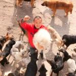 Wang Yan et ses chiens