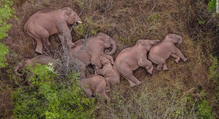 15 éléphants, 266 millions de colis, 120 m² et 5 musées…