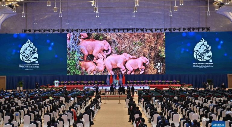 COP15 – Le tigre n’a plus sa place en Chine du sud
