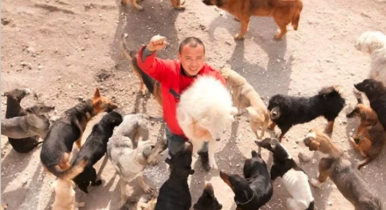 Changchun (Jilin) – La passion canine de Wang Yan (1ère partie)