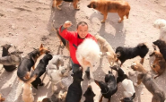 Changchun (Jilin) – La passion canine de Wang Yan (2ème partie)
