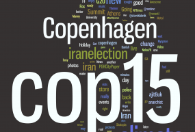 On the road to COP 15 (2009)