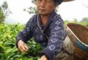 Visages et paysages du Xishuangbanna
