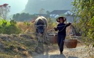 Guandu (Yunnan) – L’argent perdu de la jeune Xu (1ère partie)