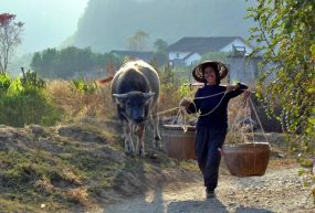 Guandu (Yunnan) – L’argent perdu de la jeune Xu (1ère partie)