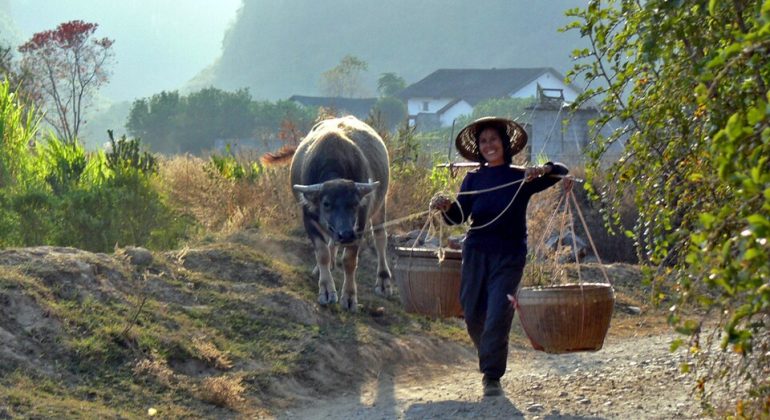 Guandu (Yunnan) – L’argent perdu de la jeune Xu (1ère partie)