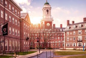 « Harvard, corruption, OCDE »