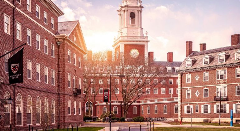 « Harvard, corruption, OCDE »