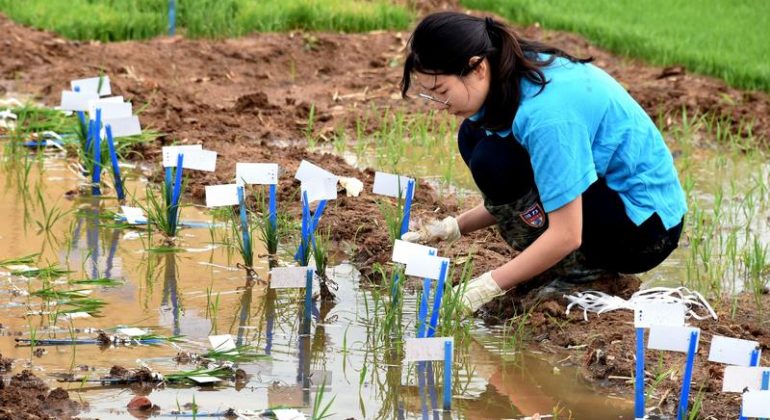 La sécurité alimentaire en haut de l’agenda politique chinois