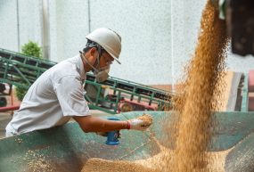 Pékin et son insécurité alimentaire