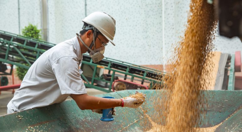 Pékin et son insécurité alimentaire