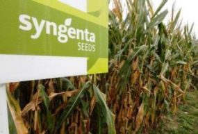 Syngenta sous drapeau rouge