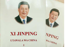 La Chine ambitionne-t-elle d’exporter son modèle politique en Afrique ?