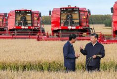 L’agriculture, le souci secret du socialisme chinois
