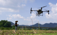 Le nouveau visage de la Chine agricole
