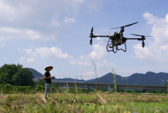 Le nouveau visage de la Chine agricole