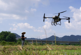 Le nouveau visage de la Chine agricole