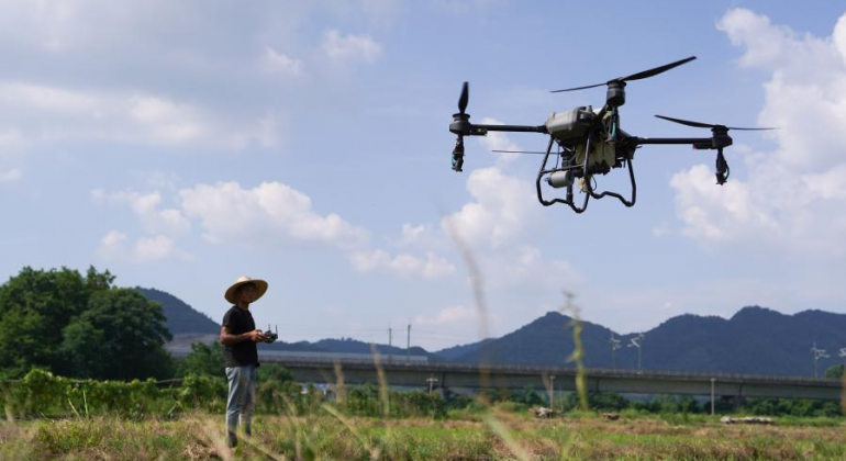 Le nouveau visage de la Chine agricole