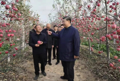 Les premiers pas de Xi Jinping III